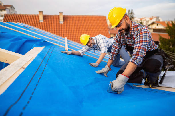 Best Roof Ventilation Installation  in West Ack, NY